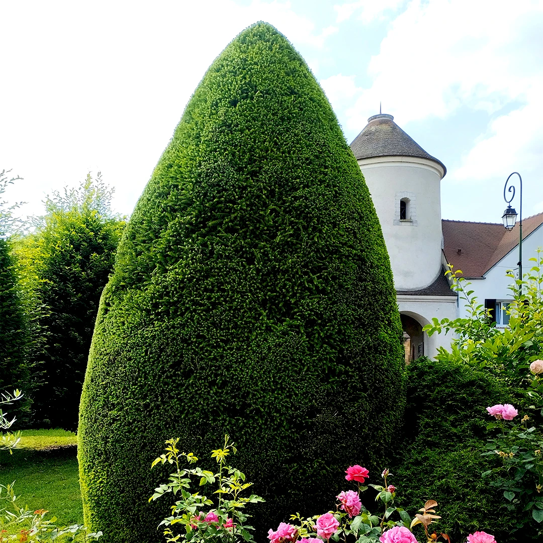 Réalisation Midey Paysage - Jardin en gravier blanc