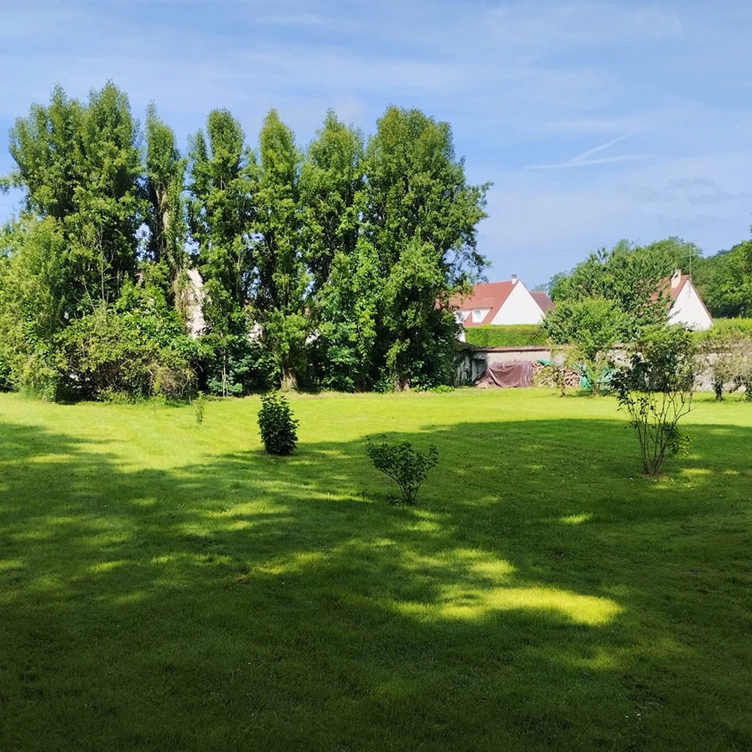 Réalisation Midey Paysage - Jardin, fleurs, arbres, bordures & pavés