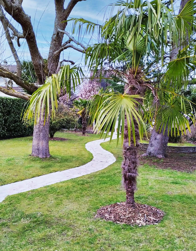 Réalisation Midey Paysage - Jardin, fleurs, arbres, bordures & pavés